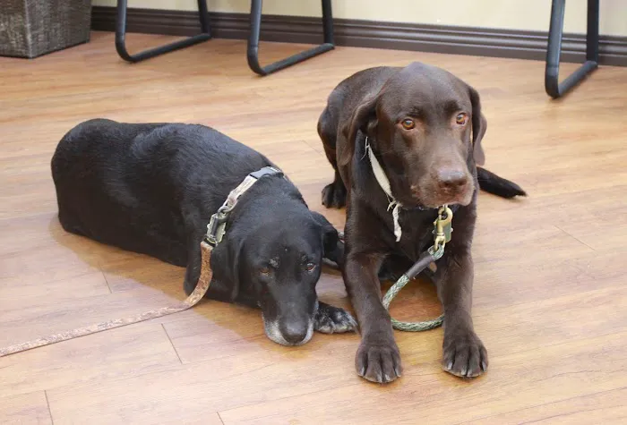 O'Connor Animal Hospital Picture 9
