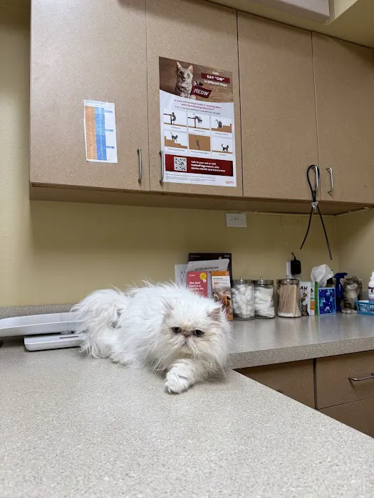 O'Connor Animal Hospital Picture 8