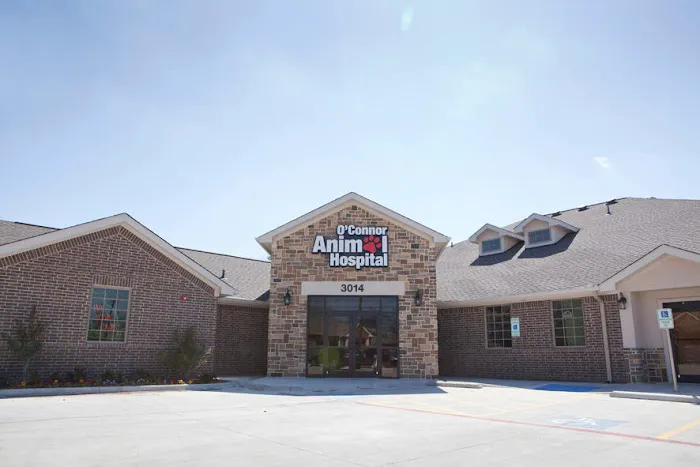 O'Connor Animal Hospital Picture 10