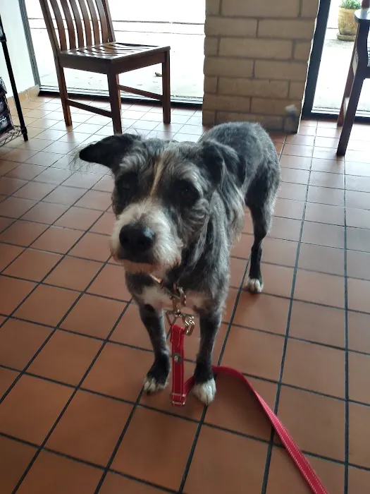 Buena Vista Animal Clinic Picture 3