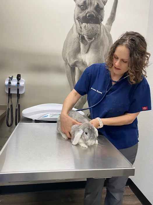 CityVet | Las Colinas Picture 1