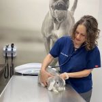 CityVet | Las Colinas