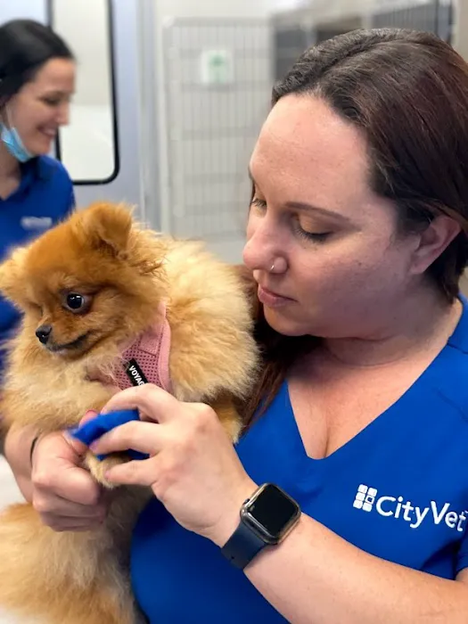 CityVet | Las Colinas Picture 3