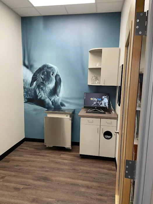 CityVet | Las Colinas Picture 9