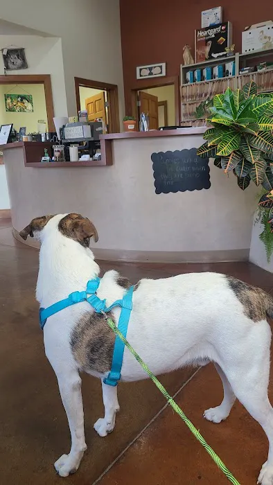 De Anza Animal Clinic Picture 1