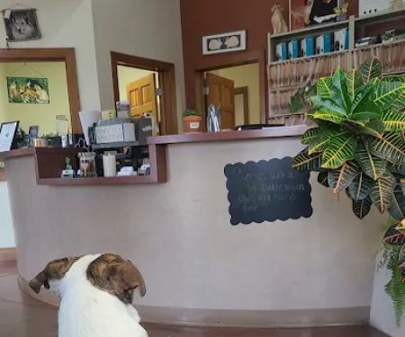 De Anza Animal Clinic