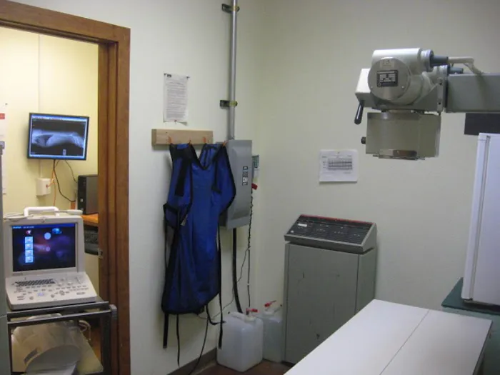 De Anza Animal Clinic Picture 4