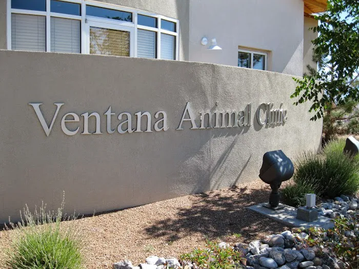 VCA Ventana Animal Hospital Picture 2