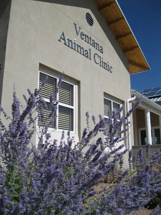 VCA Ventana Animal Hospital Picture 5