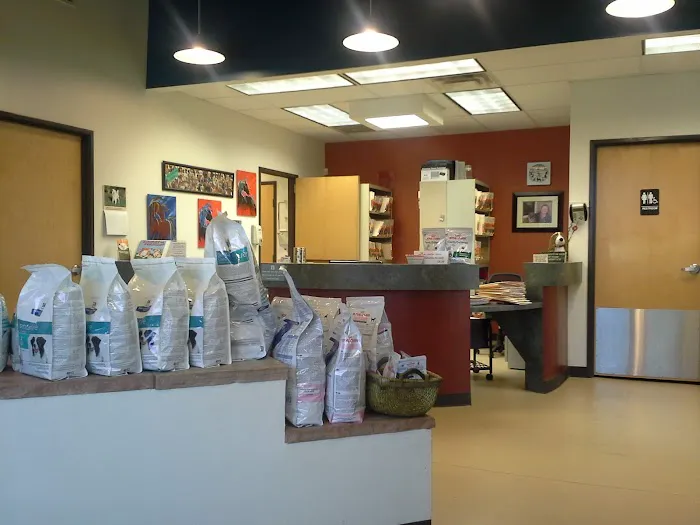 Acequia Animal Hospital Picture 2