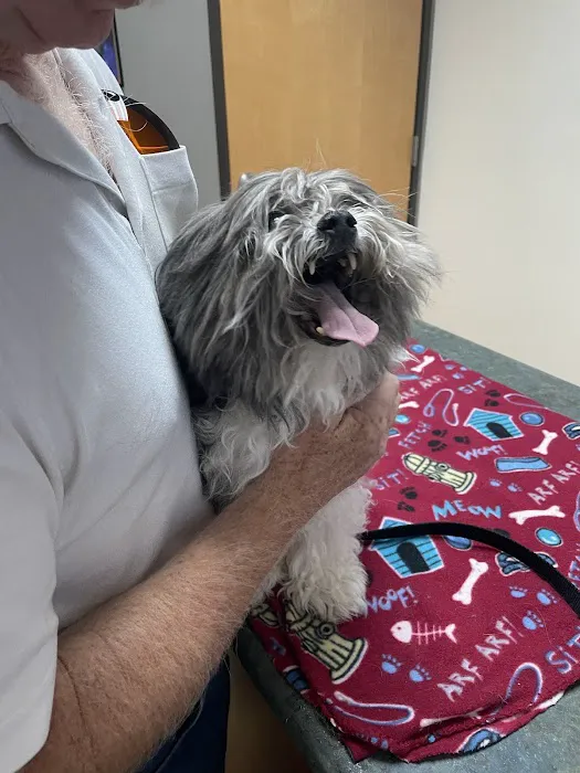 Acequia Animal Hospital Picture 4
