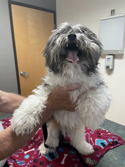 Acequia Animal Hospital Picture 8