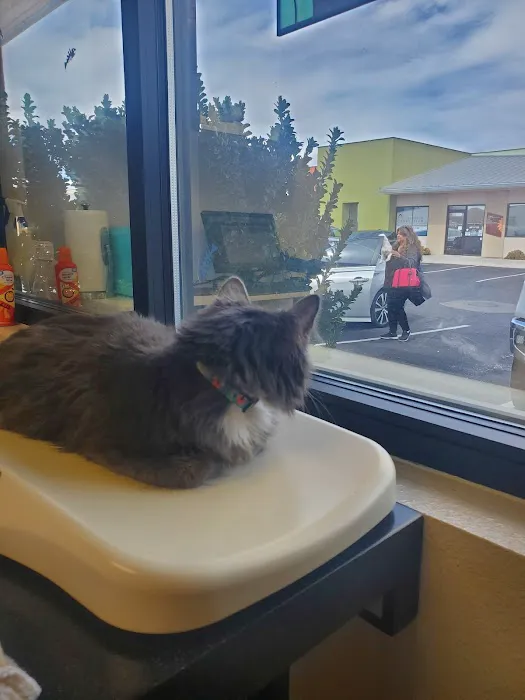 Mission Veterinary Clinic Picture 1