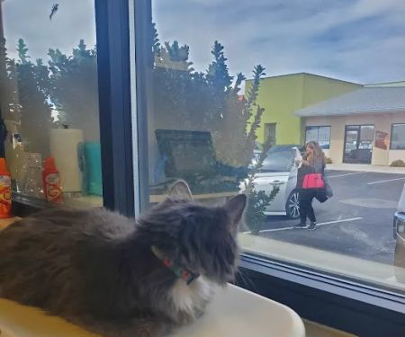 Mission Veterinary Clinic