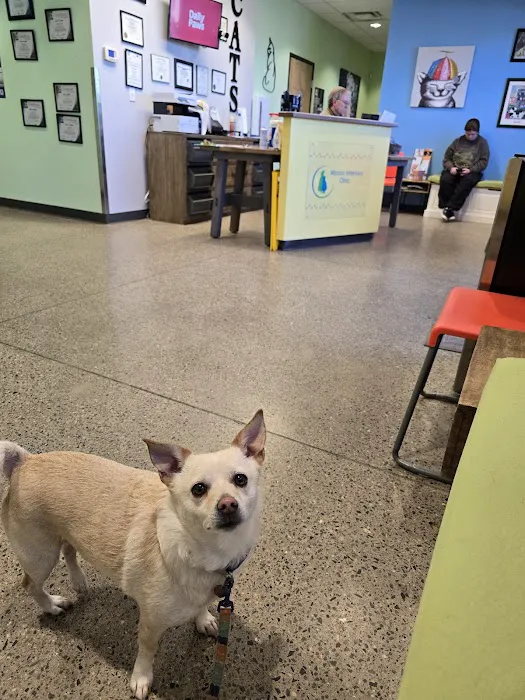 Mission Veterinary Clinic Picture 2