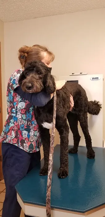 Mesa Grande Animal Clinic Picture 4