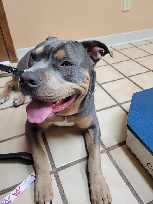Mesa Grande Animal Clinic Picture 2