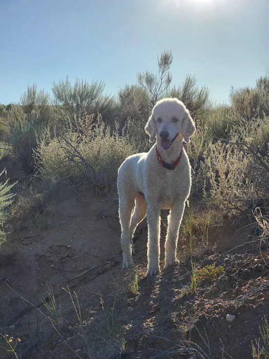 Mesa Grande Animal Clinic Picture 5