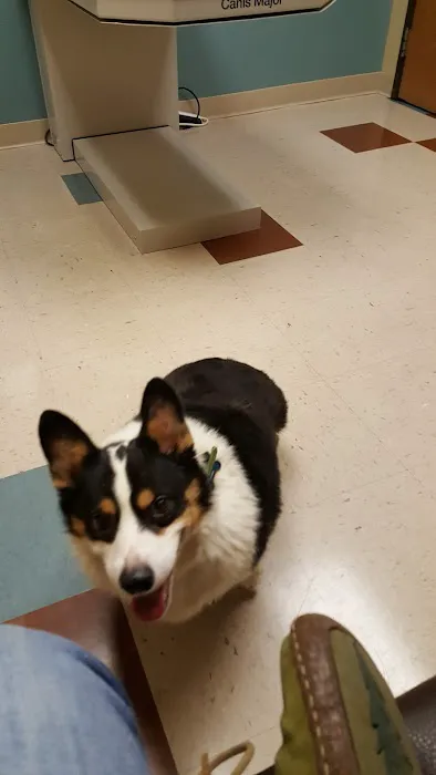 Hurst Animal Clinic Picture 10