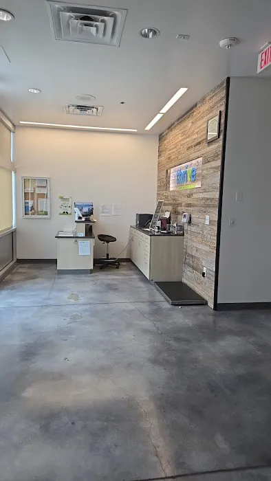 Thrive Pet Healthcare - Hurst Picture 10