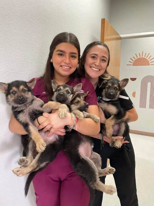 Mayfair Village Animal Hospital Picture 3
