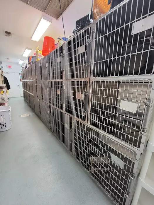 Northwest Animal Hospital Picture 7