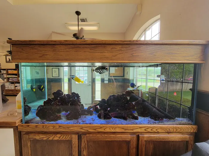 Northwest Animal Hospital Picture 5