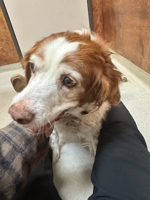 Northwest Animal Hospital Picture 9