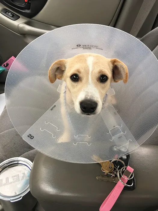 Texas Coalition for Animal Protection | TCAP Hurst Picture 6