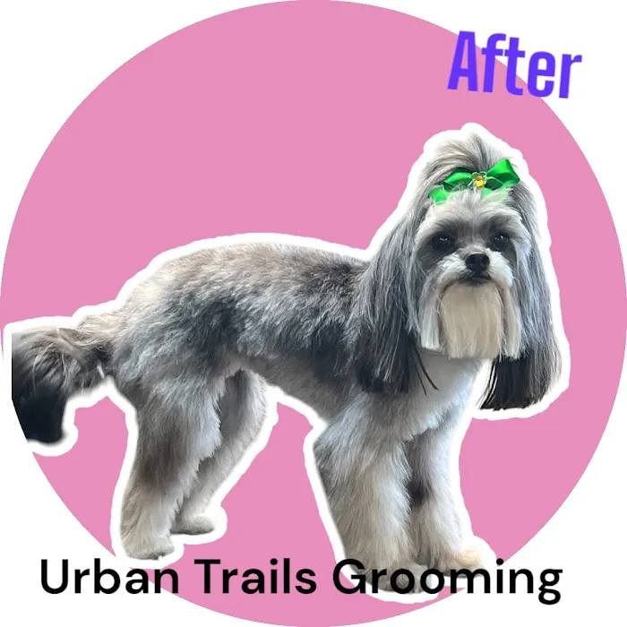 Urban Trails Animal Hospital Picture 2