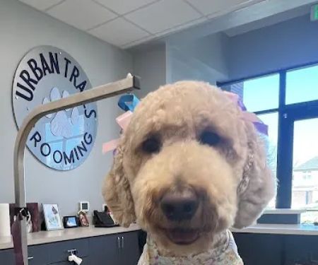 Urban Trails Animal Hospital
