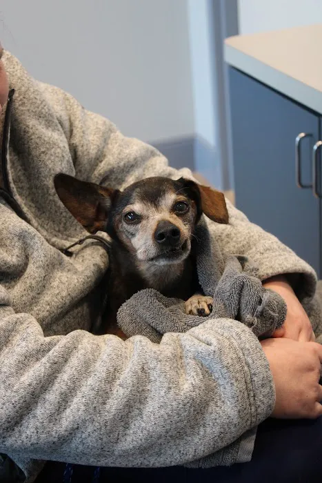 Urban Trails Animal Hospital Picture 4