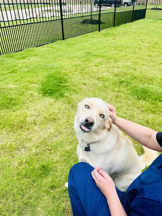 Urban Trails Animal Hospital Picture 8