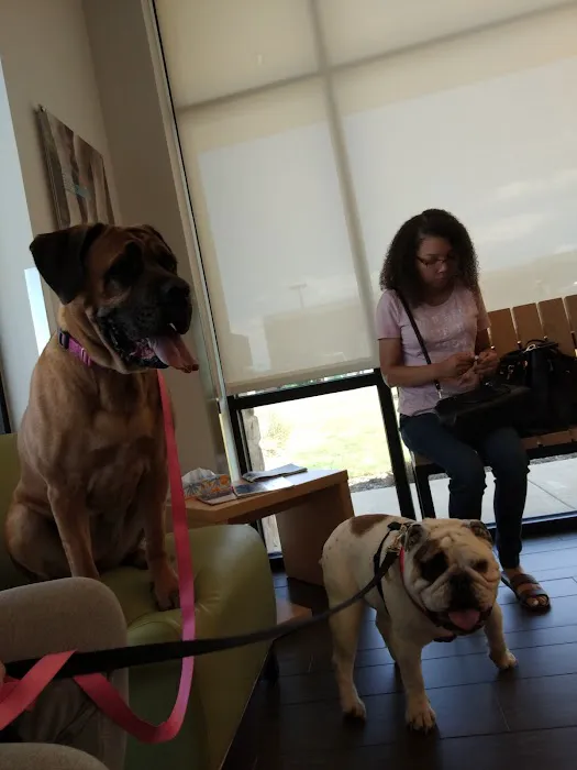 Banfield Pet Hospital Picture 4