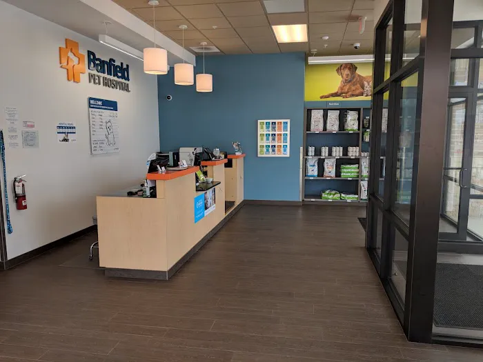 Banfield Pet Hospital Picture 5