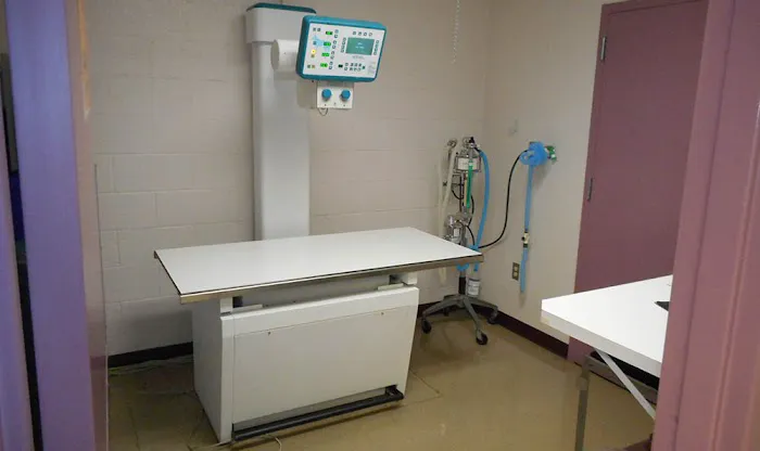 Manzano Animal Clinic Picture 9