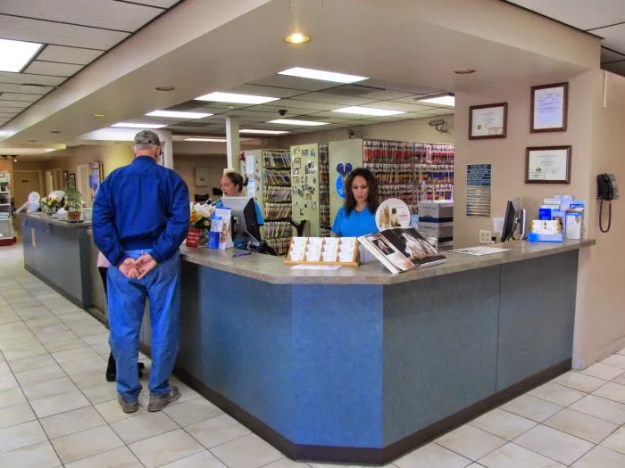 VCA Veterinary Care Animal Hospital and Referral Center Picture 2