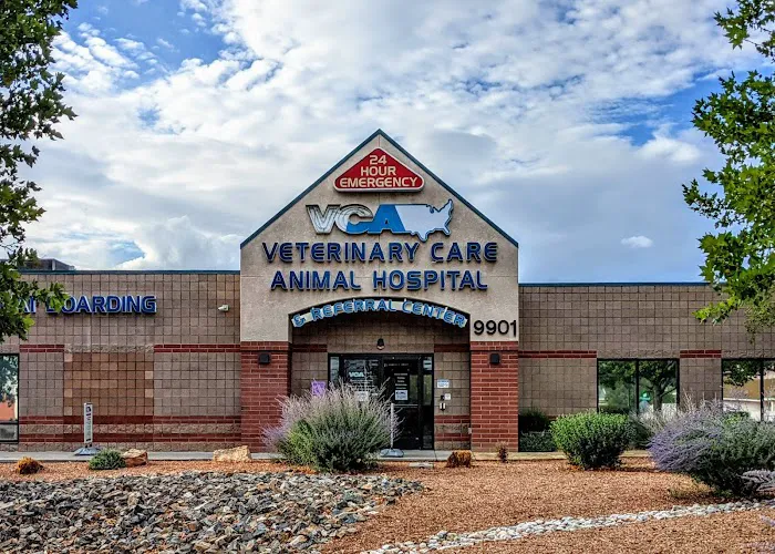 VCA Veterinary Care Animal Hospital and Referral Center Picture 5
