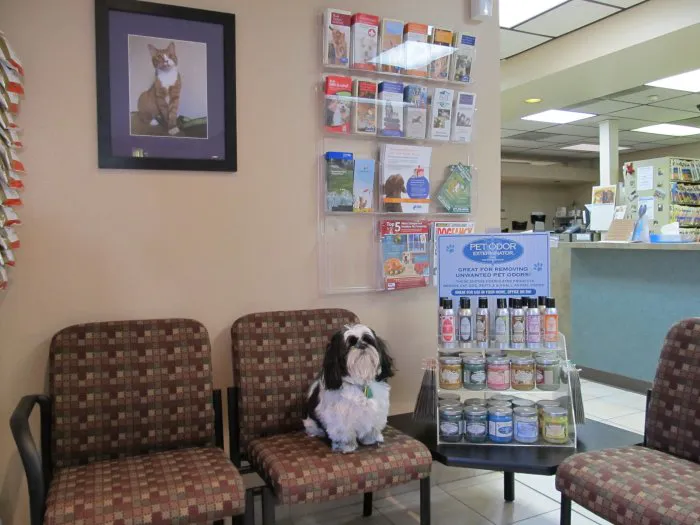 VCA Veterinary Care Animal Hospital and Referral Center Picture 8