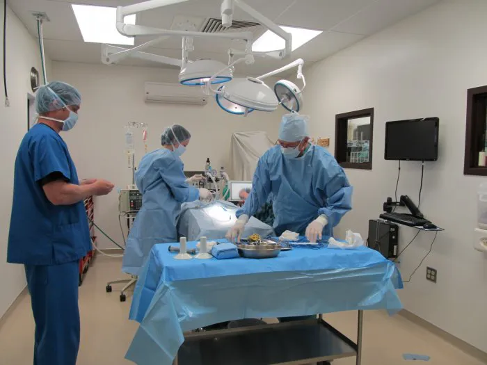 VCA Veterinary Care Animal Hospital and Referral Center Picture 9