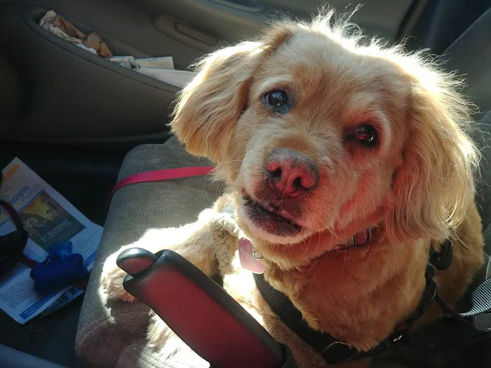 Northview Animal Hospital Picture 1