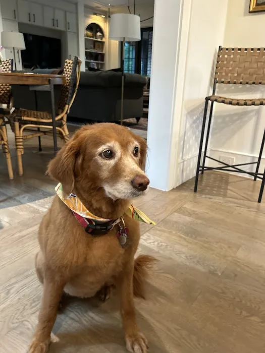 Holt Veterinary Clinic Picture 6