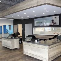 CityVet | Lovers Lane ico