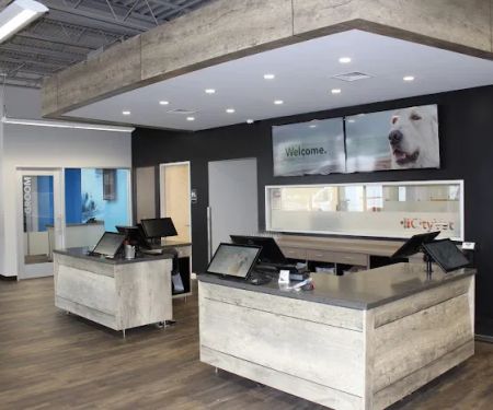 CityVet | Lovers Lane