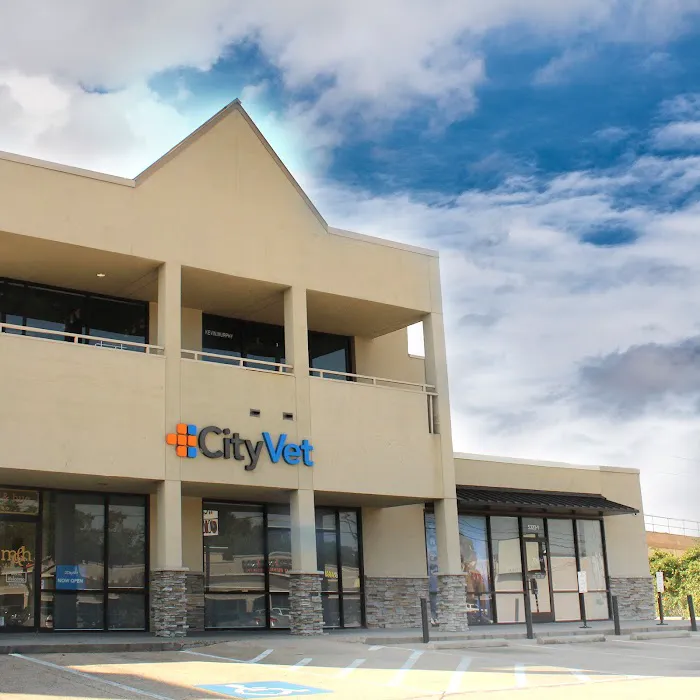 CityVet | Lovers Lane Picture 3