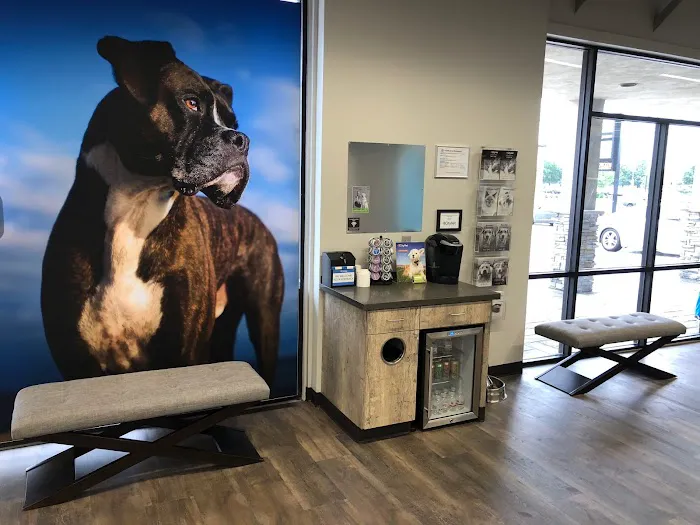 CityVet | Lovers Lane Picture 4