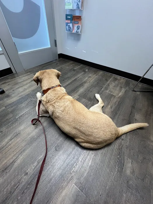 CityVet | Lovers Lane Picture 9