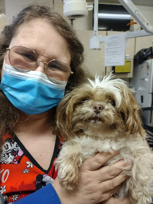 Love Freeway Animal Clinic Picture 3