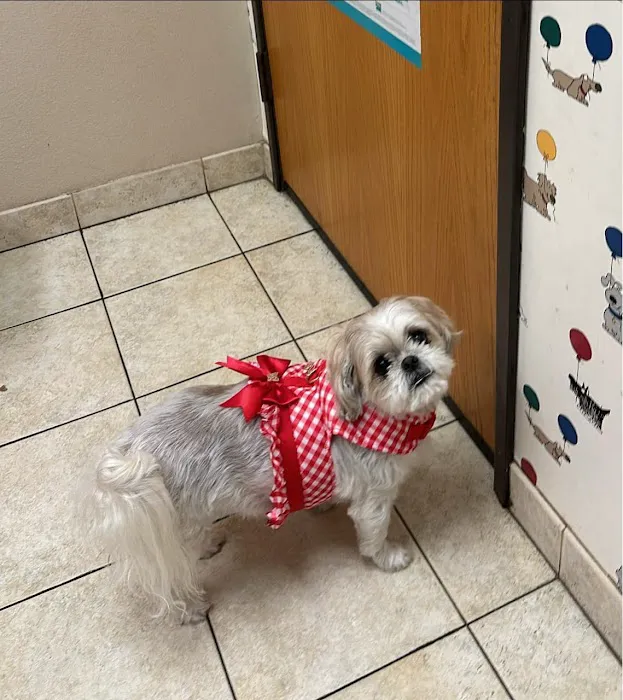 Love Freeway Animal Clinic Picture 1