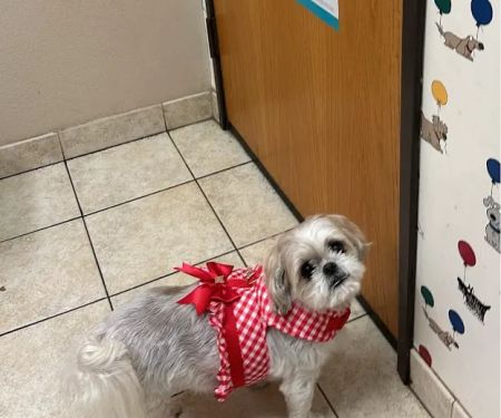 Love Freeway Animal Clinic